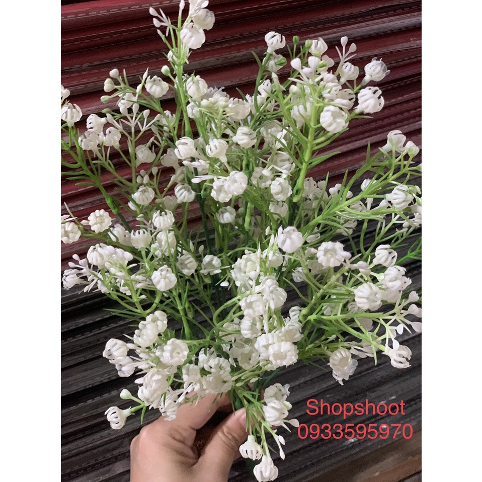 HOA Baby NHỰA DÙNG TRANG TRÍ