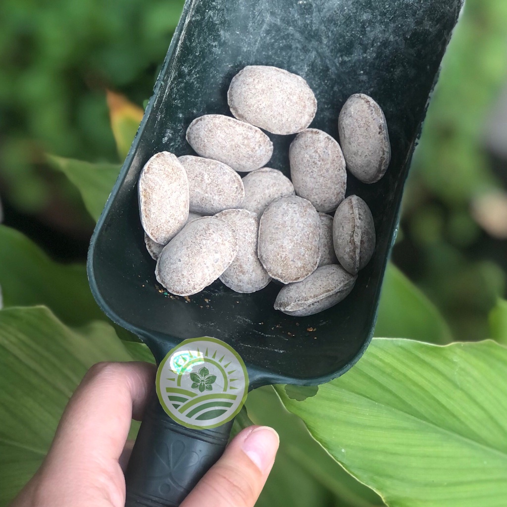 PHÂN TAN CHẬM QUẢ BÀNG NURSERYACE  12-6-6-2 NHẬT BẢN