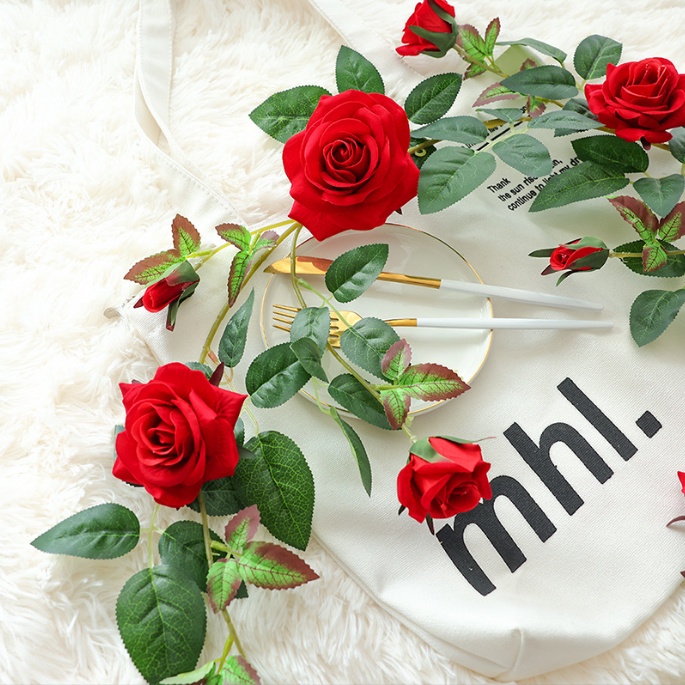 Dây leo hoa hồng nhung đỏ sang trọng