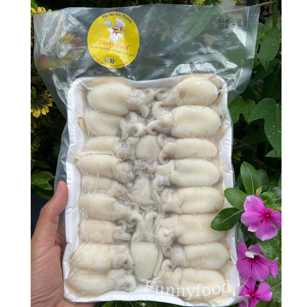 Mực Bầu Baby Làm Sạch – Mực Bầu Tươi Hấp, Nướng, Thả Lẩu – [Ship Hỏa Tốc HCM] – Funnyfood