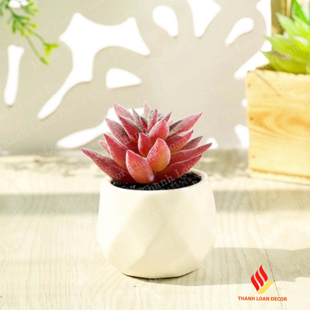Chậu sứ mini Bát Tràng - Trồng sen đá, xương rồng để bàn xinh xắn - Màu trắng
