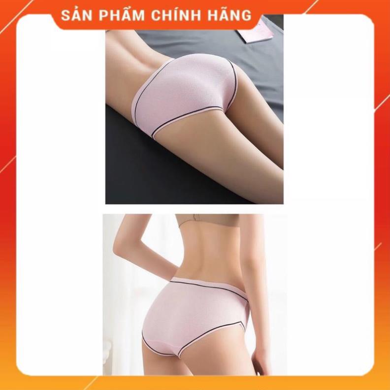 Quần Lót Cotton Tăm Viền Kẻ Phối Nơ Cao Cấp 028