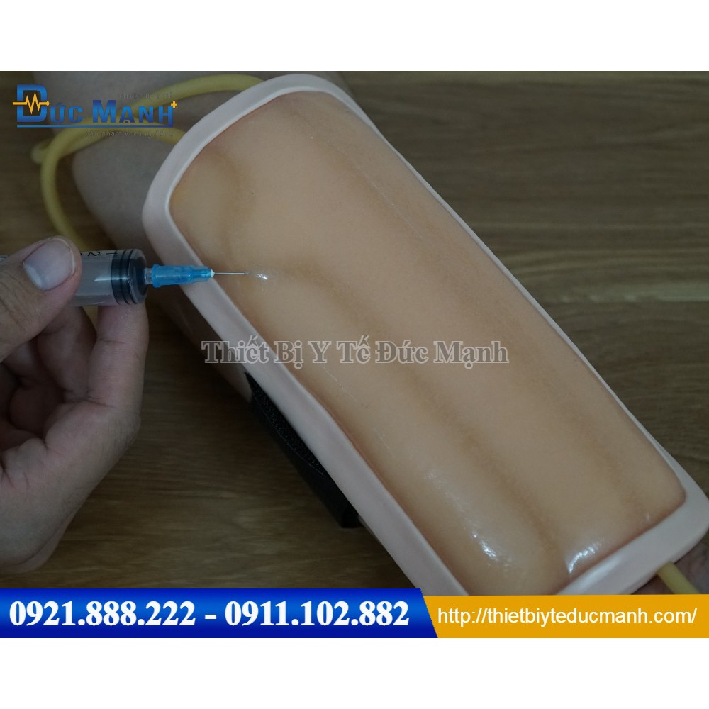 Mô hình thực hành tiêm truyền tĩnh mạch