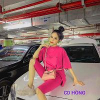 Đồ Bộ Lửng Thể Thao Cao Cấp Thun Cotton 100% CD
