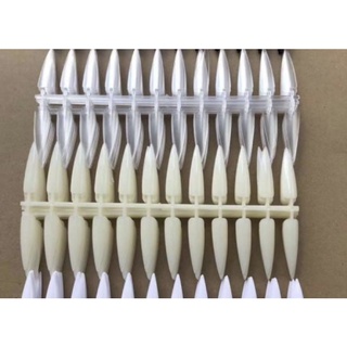 Móng xương cá tập vẽ nail from nhọn