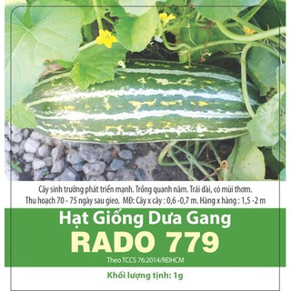 Hạt Giống Dưa Gang