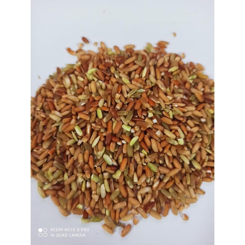 Gạo lứt đỏ ĐIỆN BIÊN siêu dẻo siêu ngon.