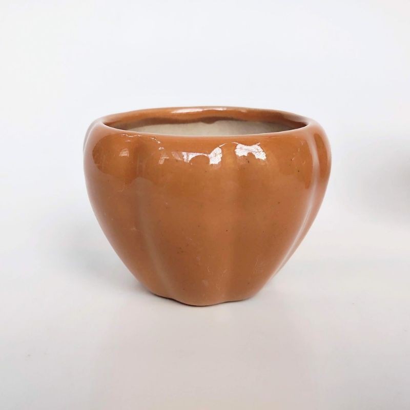 Combo phụ kiện, sỏi và sen đá cho khách