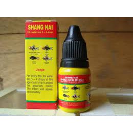 Xử lý đục mắt thối đuôi thối vây nấm bông miệng cho cá Shang Hai
