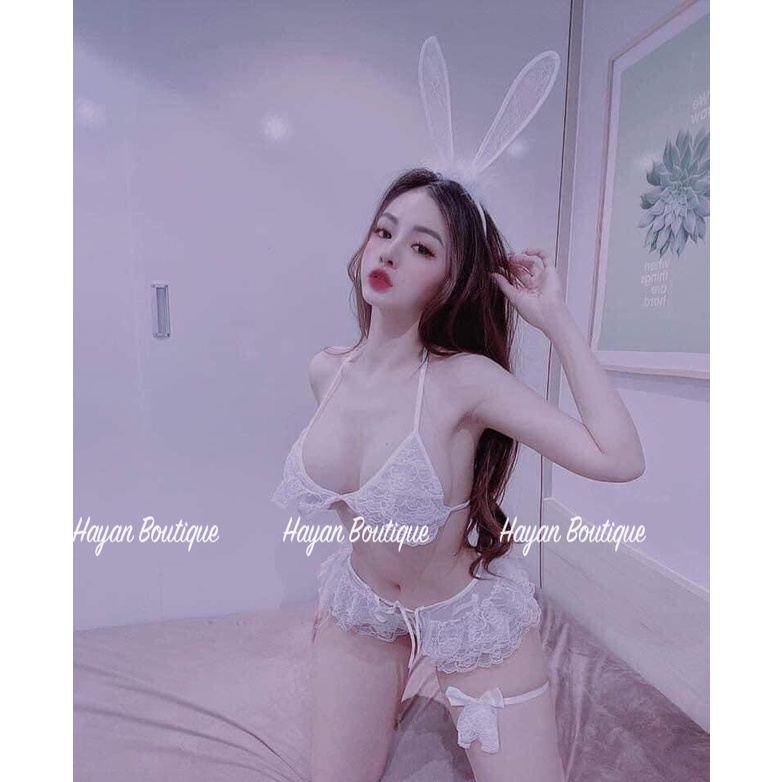 HT258 Set nội y ren, cosplay sexy nàng thỏ, bộ đồ lót hoá trang gợi cảm HT258