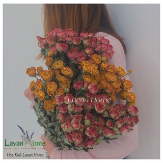 Hoa hồng sấy khô vintage-Rosie Dried Flowers trang trí phòng, tiệc retro, trang trí thiệp, nến thơm -hoa hồng size 1-3cm