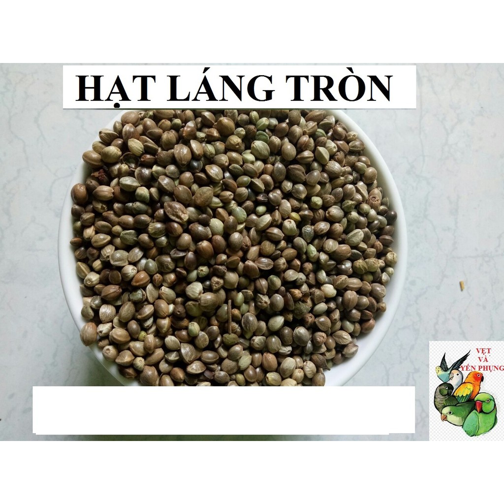 2kG HẠT TRỘN CHO NGỰC HỒNG - COCKATEIL