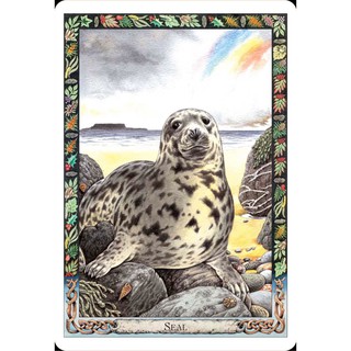 Bộ bài The Druid Animal Oracle Deck