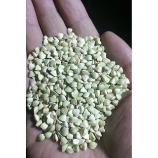 Hạt kiều mạch hữu cơ Ucraina 500g