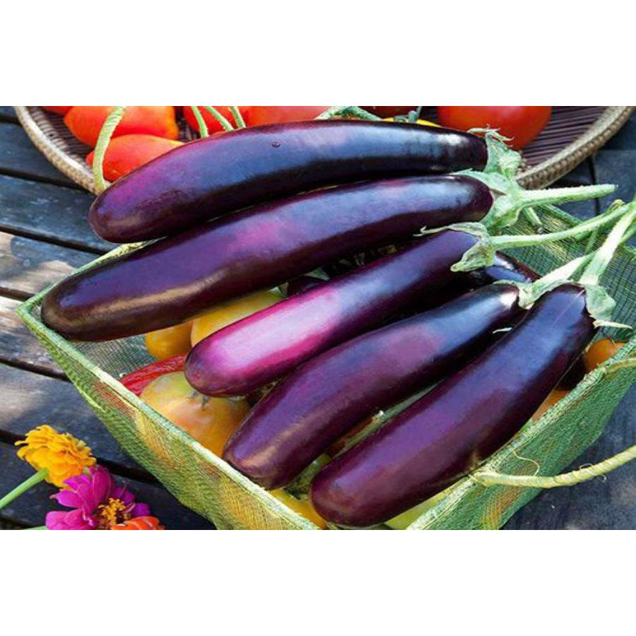 ( SIÊU RẺ ) Hạt giống Cà Tím Dài Cali F1 1G 20 hạt