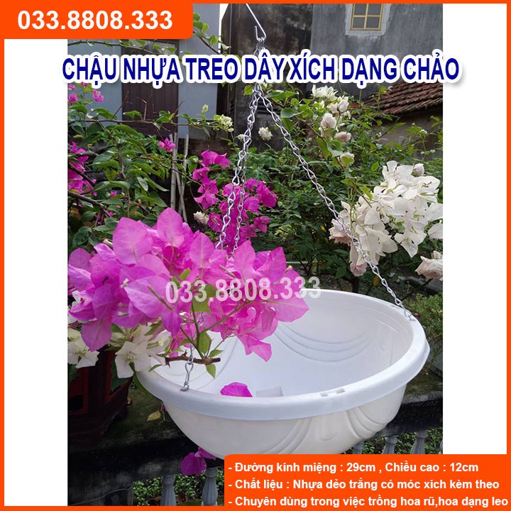 5 Chậu Chảo Nhựa Trắng ( Tặng Kèm Móc Xích) 29x12 - Chậu Trồng Hoa Đẹp