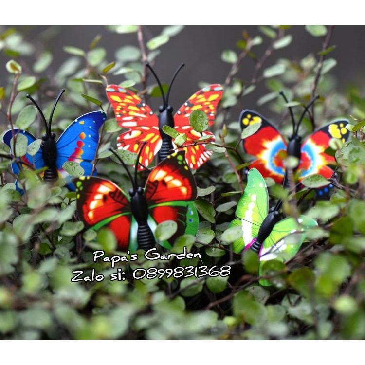Set 5 Nam châm hình bướm 3D tiểu cảnh, tủ lạnh Terrarium trang trí tiểu cảnh, bể cá