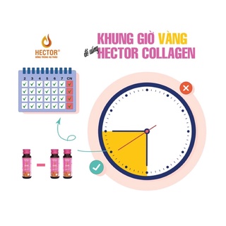 Đông Trùng Hạ Thảo Hector Collagen