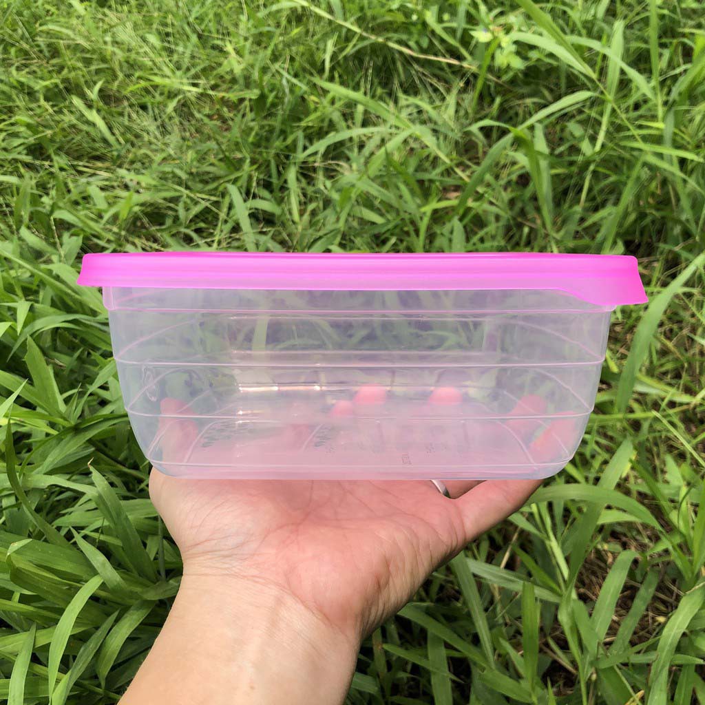 [Bộ 3] Hộp trữ đông thực phẩm bằng nhựa cao cấp 2812 HSL