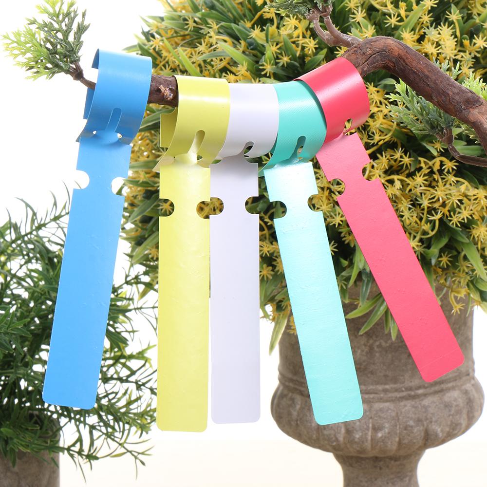 Set 100 Thẻ Đánh Dấu Cây Trồng Tiện Dụng