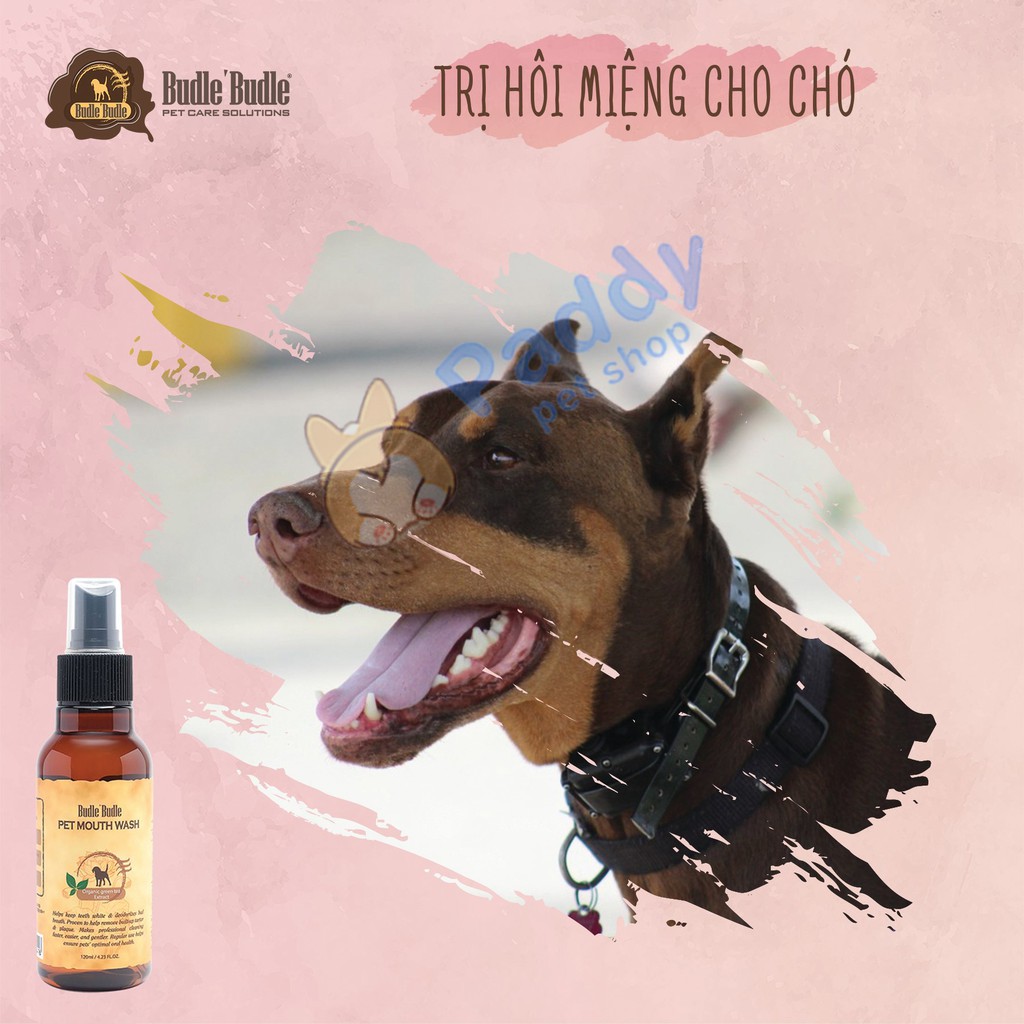 Xịt Budle Thơm Miệng &amp; Sạch Răng Chó (120ml)