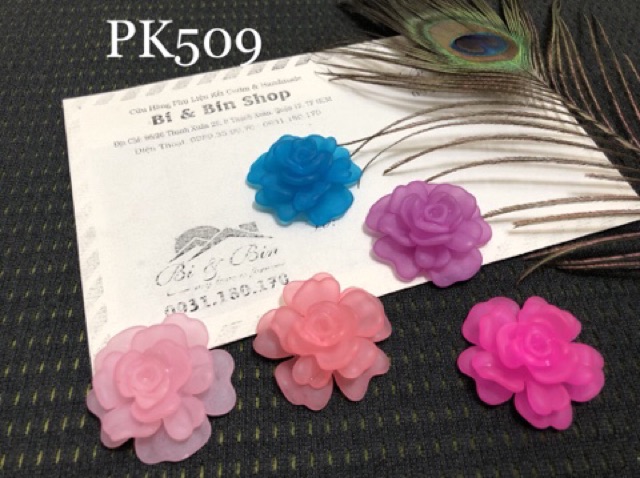 4 Hoa Anh Đào 4 Lớp - HPK509