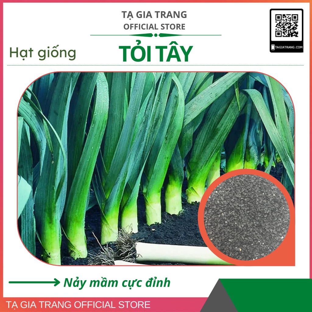 Hạt giống tỏi tây - Gói 1gr | Shop hạt giống Tạ Gia Trang