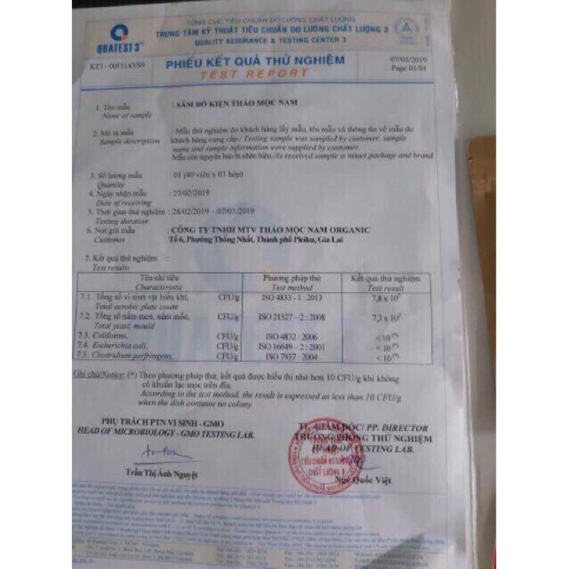 [HÀNG CHÍNH HÃNG] Sâm Bổ Kiện Thảo Mộc Nam - TĂNG CÂN HIỆU QUẢ | BigBuy360 - bigbuy360.vn