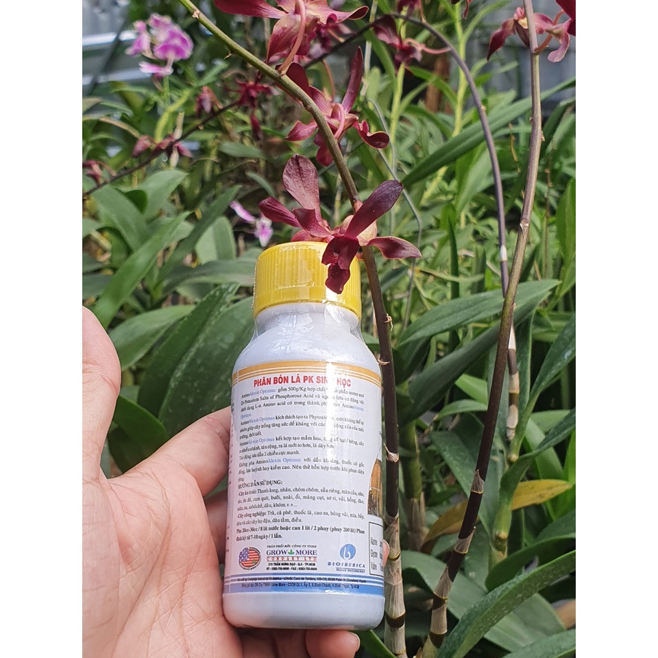 Phân bón AMINO ALEXIN  chai 100ml  - Chuyên trừ  thối lá  -Mai Huy