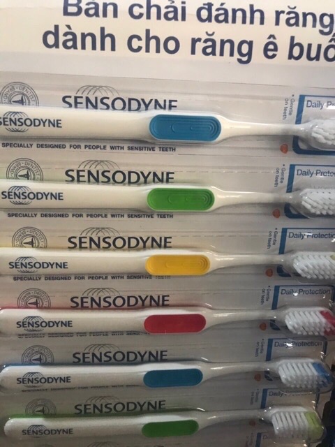 Bàn chải đánh răng dành cho răng ê buốt Sensodyne Daily Protection Soft ( Giao Màu Ngẫu Nhiên )