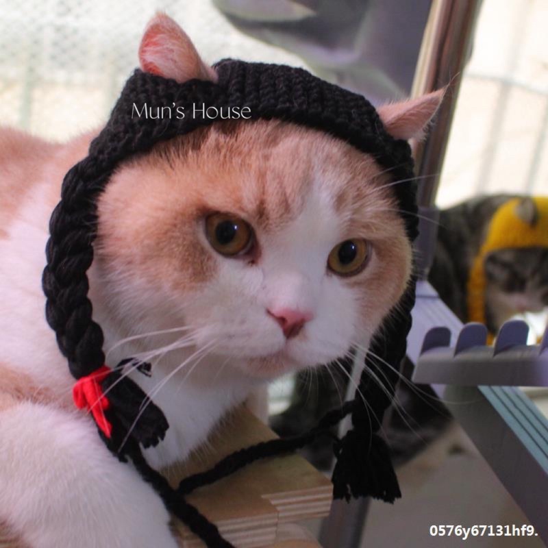 Mũ đội bím tóc hai bên cho chó mèo