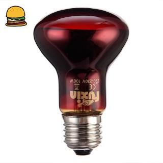 Đèn LED sưởi ấm chuyên dùng cho bò sát