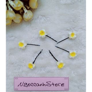 Set 2 kẹp gim hoa sứ