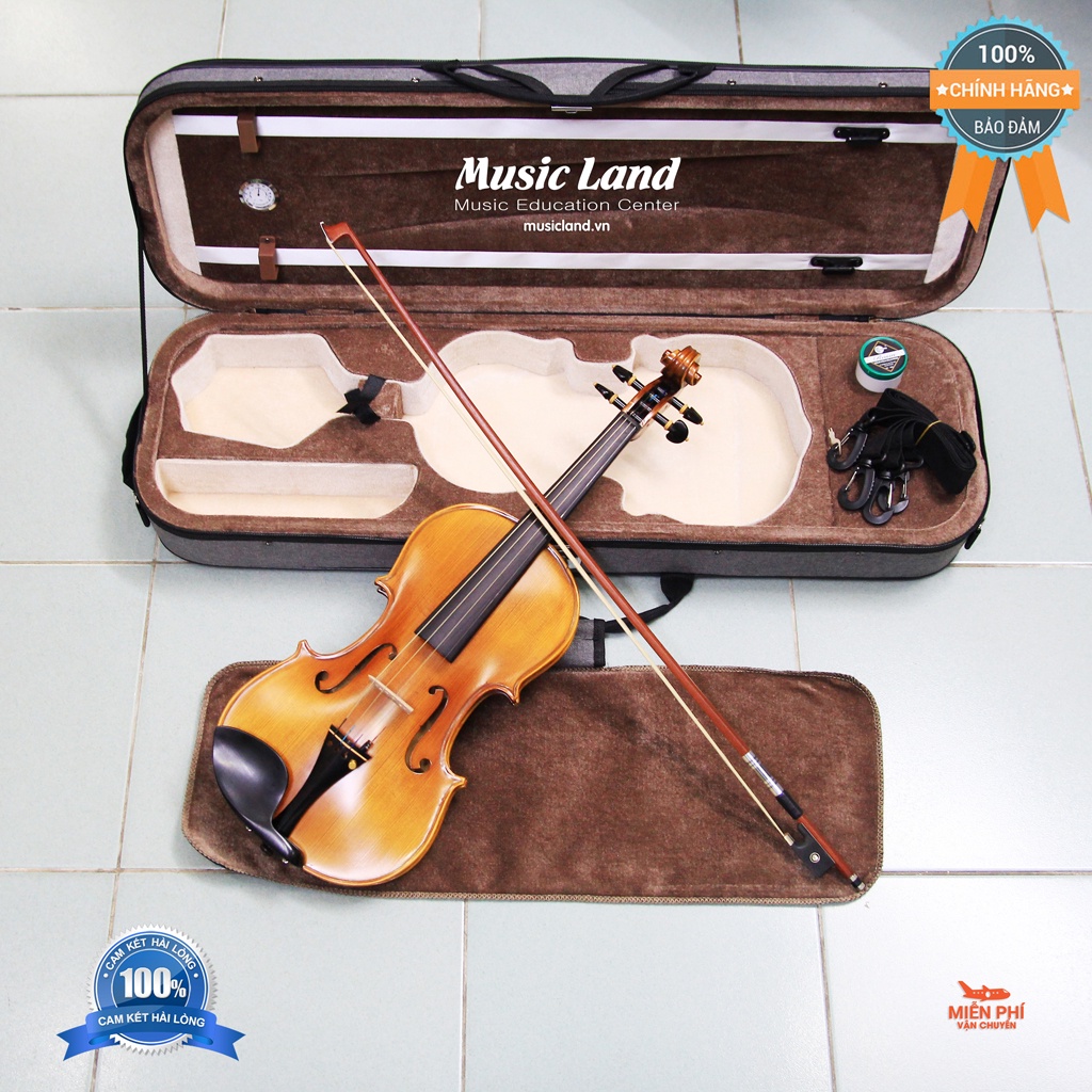 Đàn Violin Amati VF300 – Chính Hãng