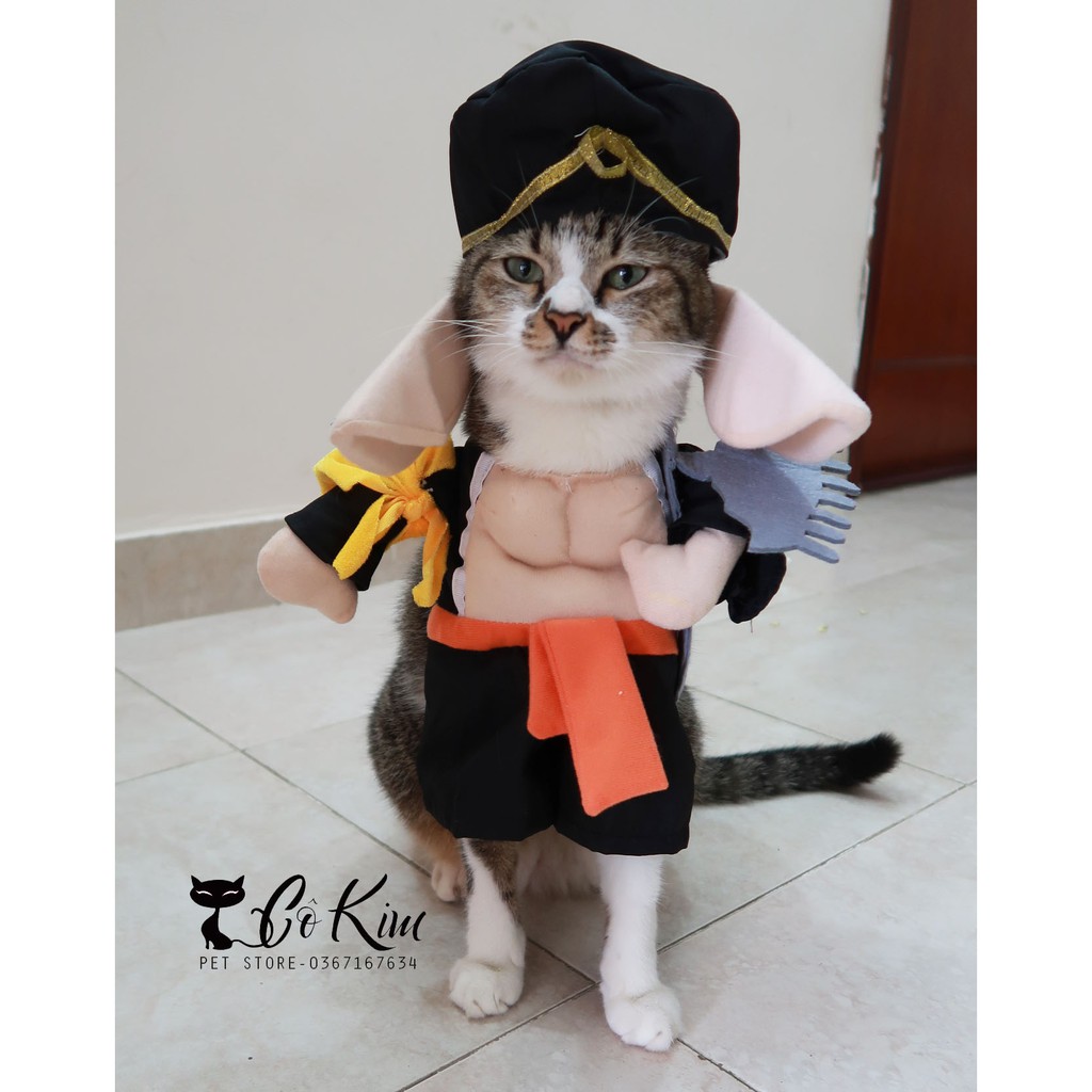 Cosplay trư bát giới