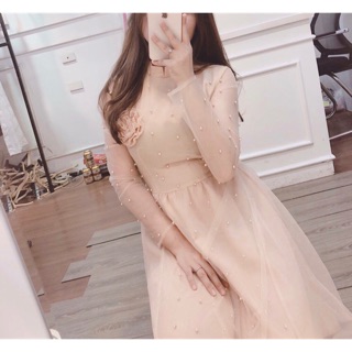 Váy lưới đính ngọc tay dài