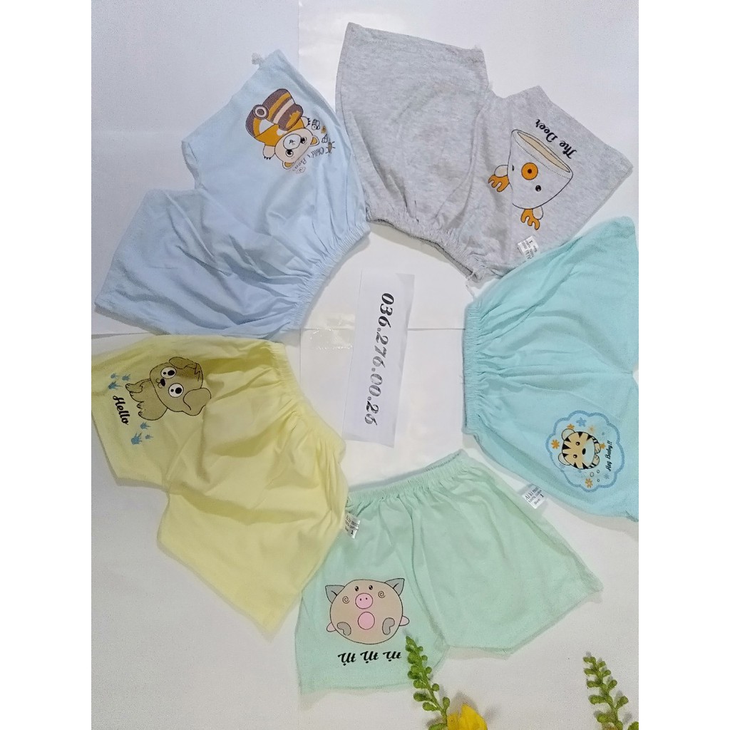 Combo 5 Quần đùi cotton mềm mại HÀNG VN CAO CẤP