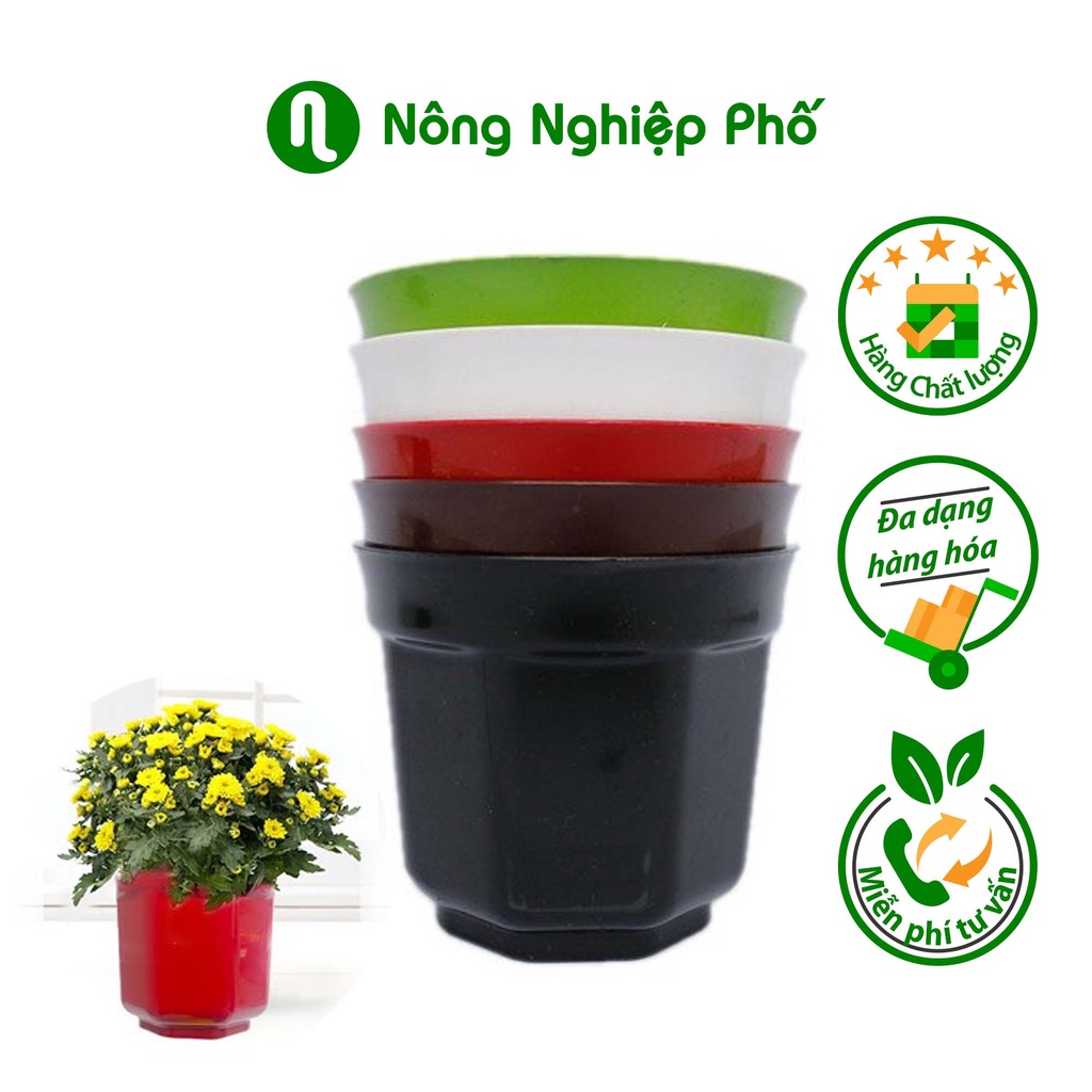 Chậu bát giác trồng hoa kiểng 18x15.5cm