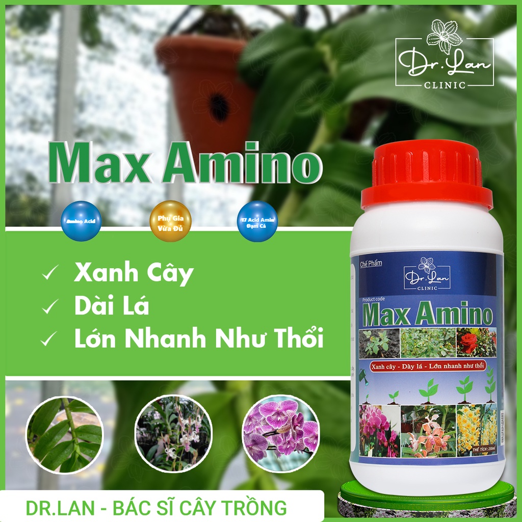 Phân Bón Lá Max Amino (Đạm hữu cơ, 17 amino, Bo) – Chai 250 ml