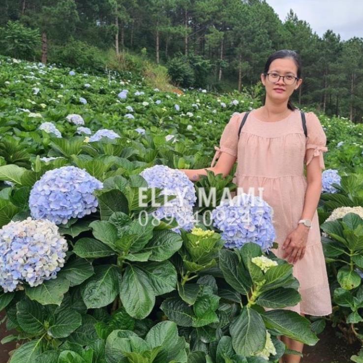 ( 40kg - 95kg ) Đầm Bầu , váy bầu Suông Voan Hạt Tay Nơ Tiểu Thư Mặc Thoải Mái Suốt Thai Kì &amp; Sau Sinh Thiết Kế Cao Cấp