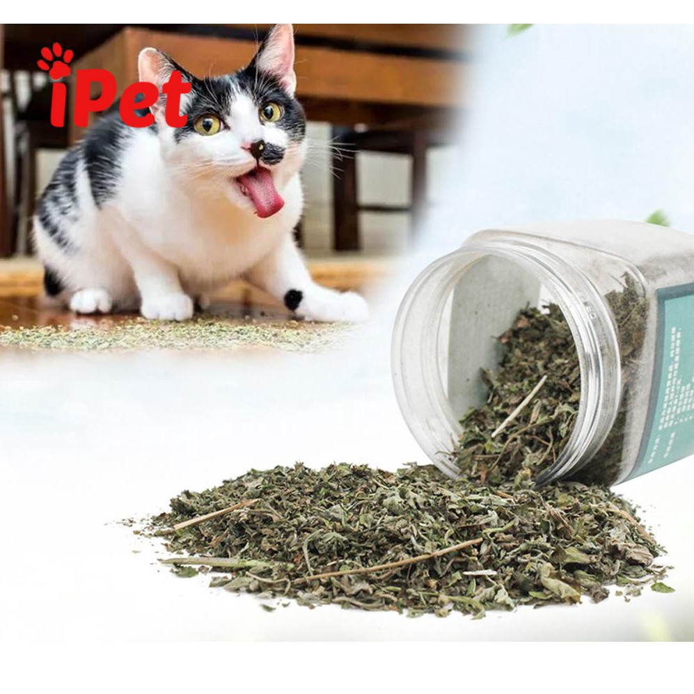 Cỏ Bạc Hà Catnip Cho Mèo Dạng Hộp 250ml - iPet Shop