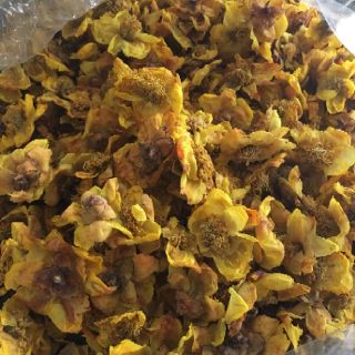 100gam TRÀ HOA VÀNG RỪNG KHÔ
