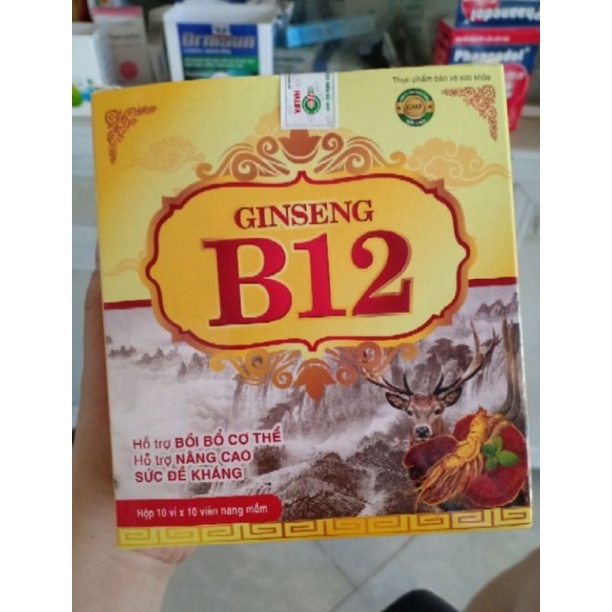 (Chính hãng 100%) Viên uống sâm bổ dưỡng Gingseng B12 ( Bác sĩ khuyên dùng có tại Nhà Thuốc)