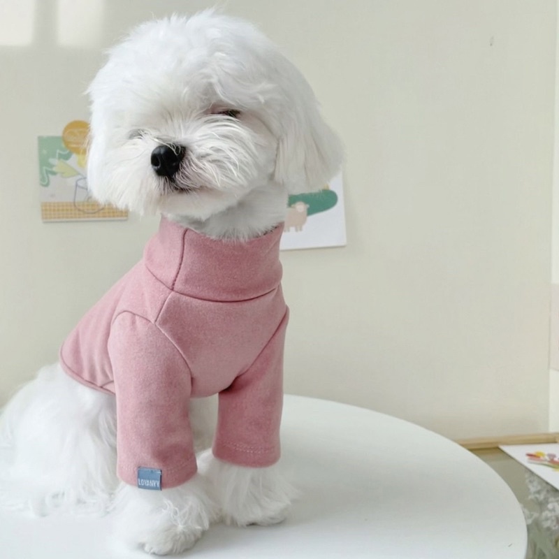 Áo cho chó mèo mùa thu BECHON A120