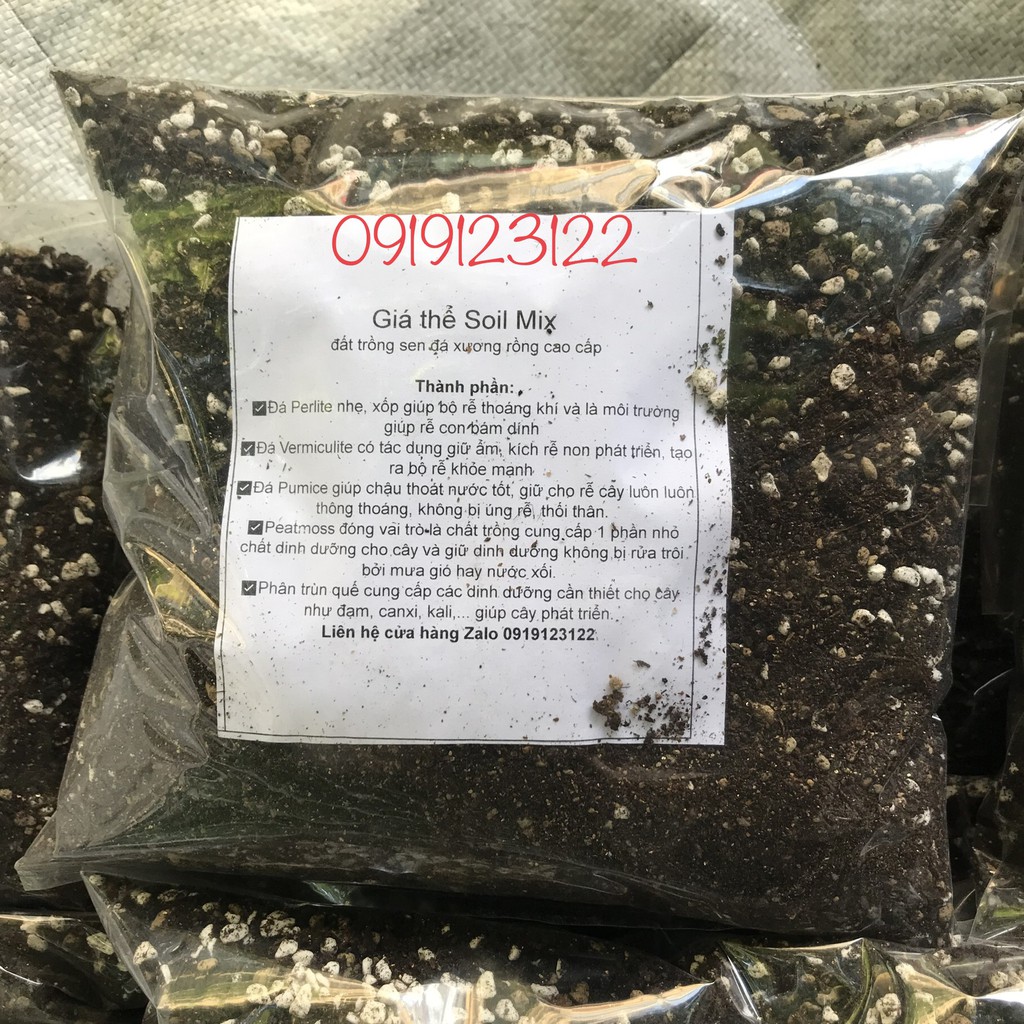 Đất trồng sen đá xương rồng cao cấp, siêu rẻ túi 1kg