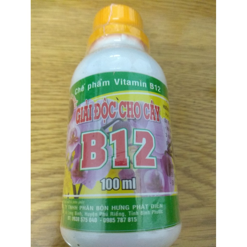 Vitamin B12 - HPĐ chai 100ml