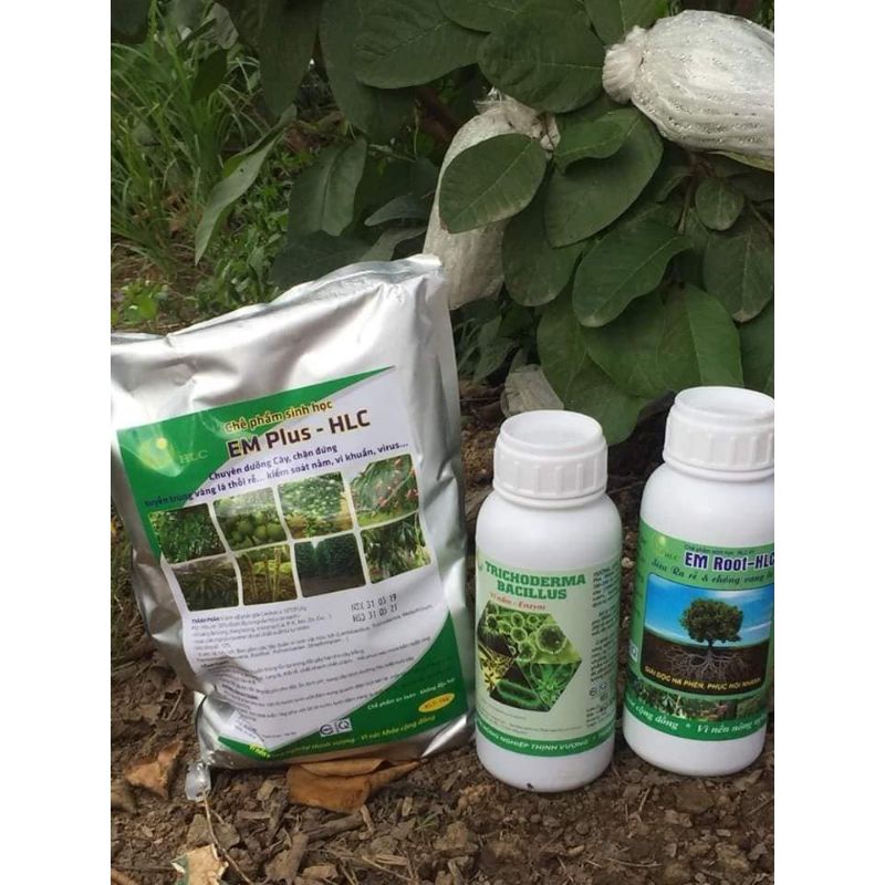 CHẾ PHẨM SINH HỌC TRICHODERMAR BACILLUS HLC  500ml