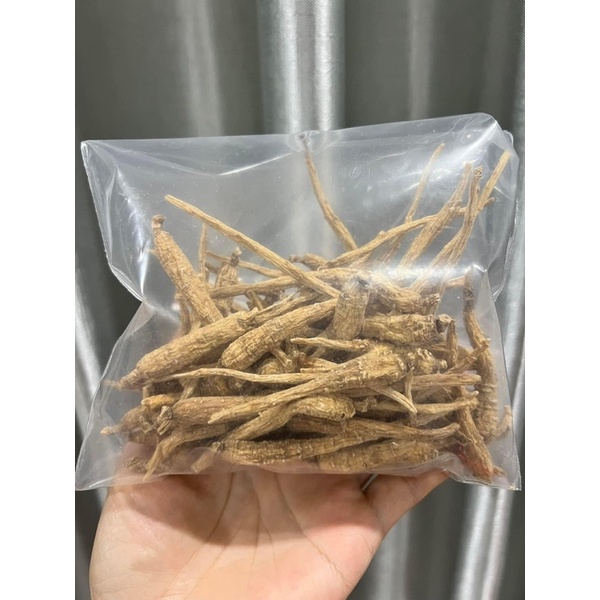 Sâm củ Hoa Kỳ 🇺🇸🇺🇸