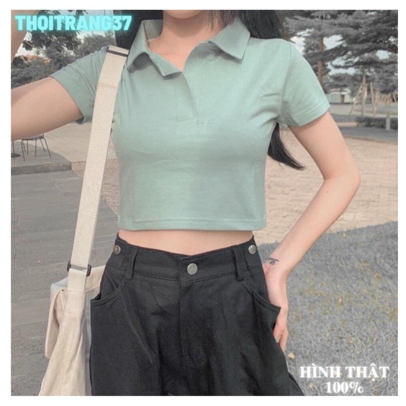 Áo Croptop Polo Basic Mã CT14 Nhiều Màu