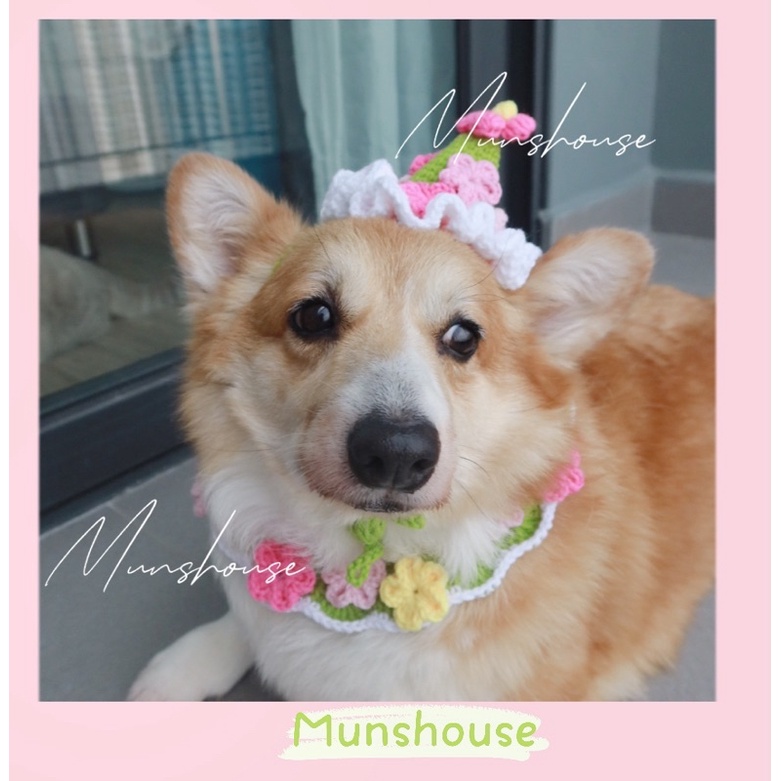 Set mũ chóp + yếm hoa xinh cho thú cưng